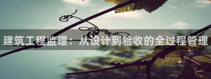 新航娱乐系统设置：建筑工程监理：从设计到验收的全过程管理