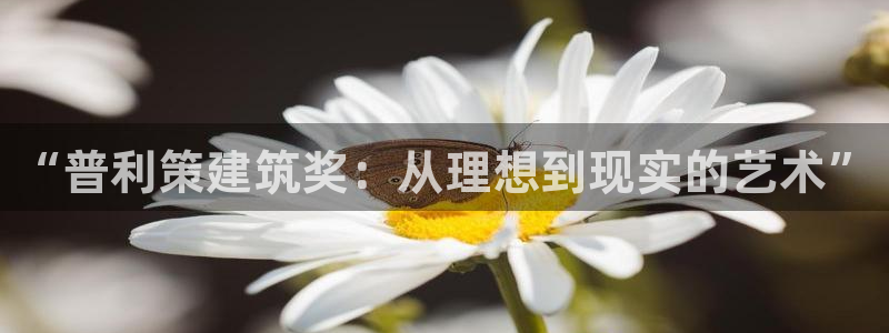 新航佳苑娱乐