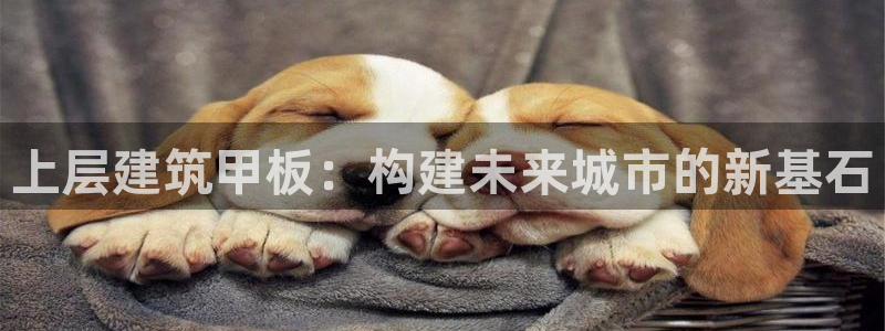 新航娱乐传媒招聘信息网