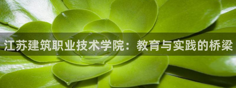新航娱乐平台登录蒋渭水：江苏建筑职业技术学院：教育与实践的桥梁