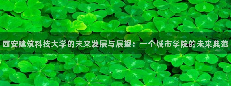 新航娱乐怎么样