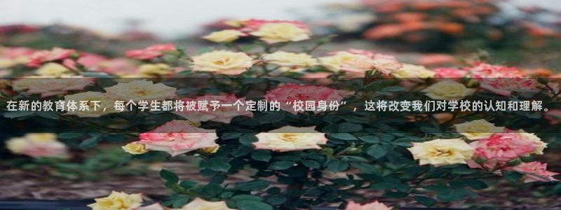 新航娱乐开户