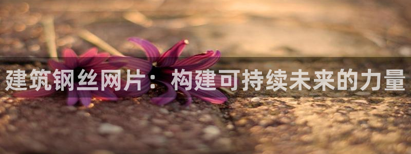 新航城娱乐传媒有限公司