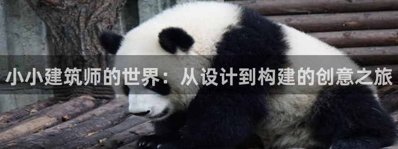 中国新航娱乐官网入口