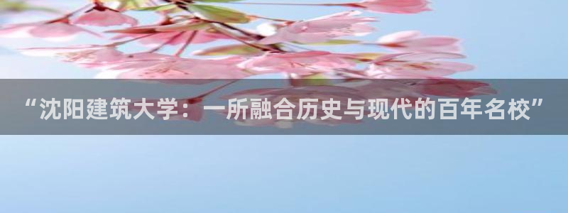 新航娱乐是正规平台吗