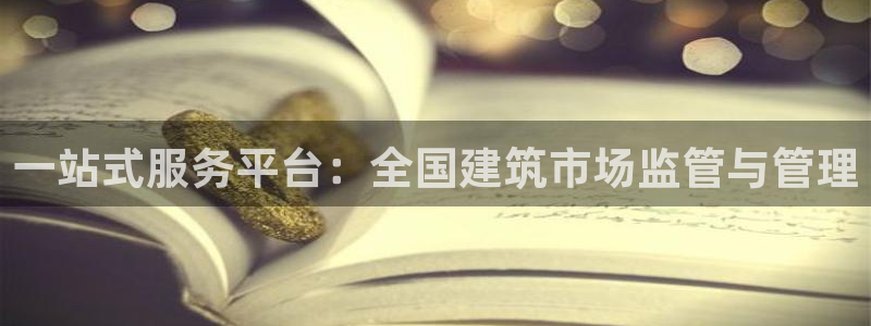 新航娱乐传媒