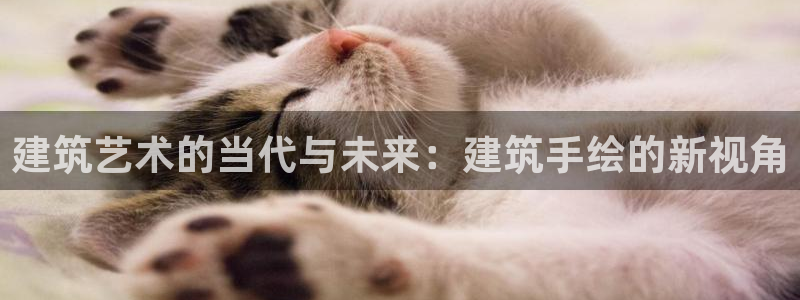 新航娱乐主管是谁