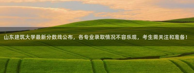 新航娱乐app下载安装