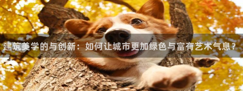 新航娱乐直开怎么下载