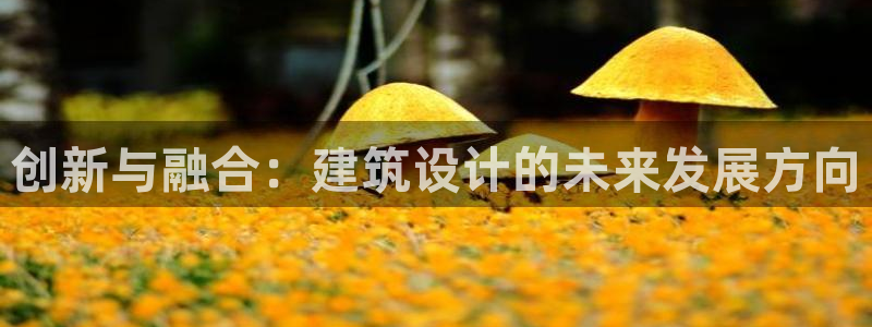 新航娱乐集团最新消息