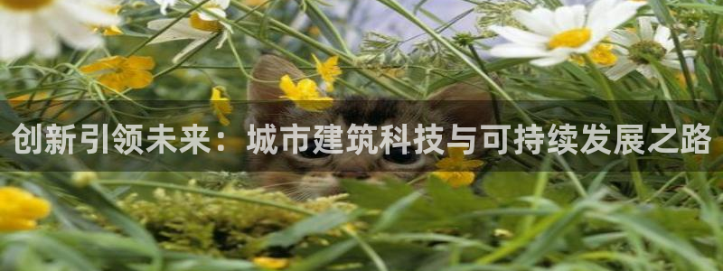 娱乐新航标