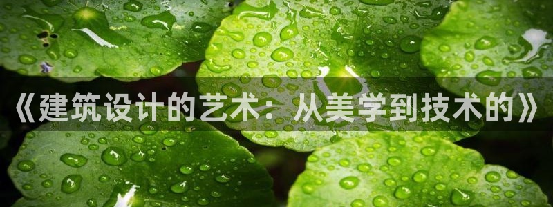 新航娱乐app下载地址