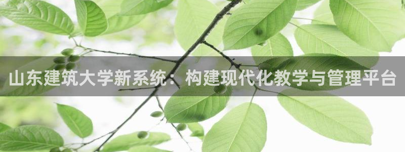 新航娱乐有限公司地址
