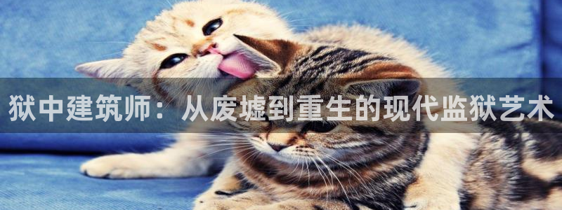 新航娱乐公司艺人