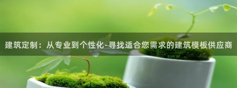 新航娱乐传媒怎么样