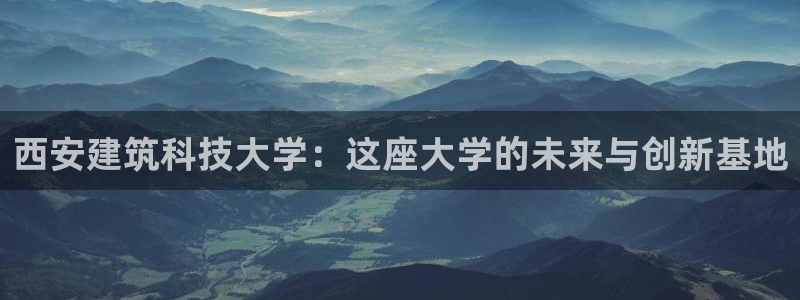 新航娱乐公司招聘