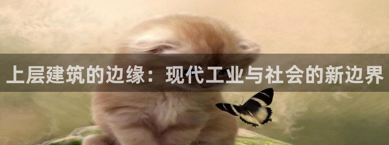 新航娱乐安卓版下载