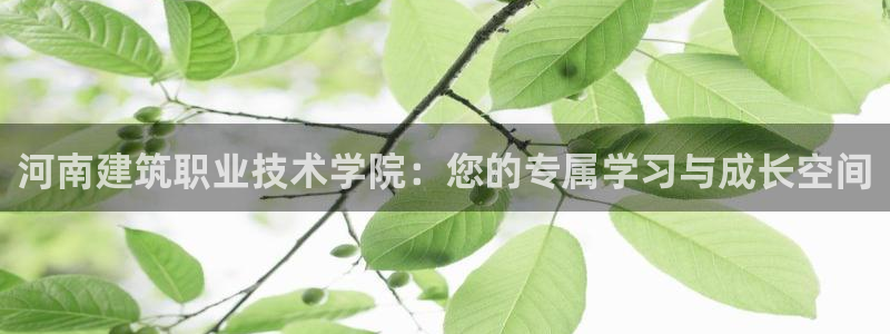 萧山娱乐新航母阿里巴巴
